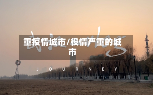 重疫情城市/役情严重的城市