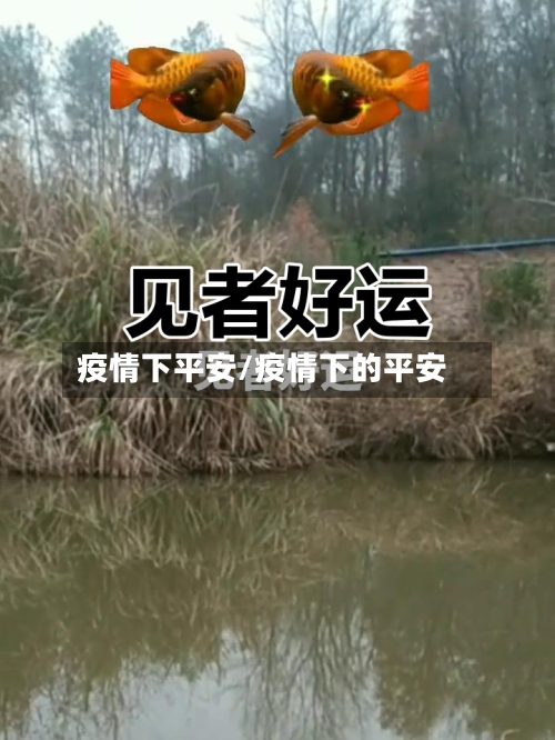 疫情下平安/疫情下的平安