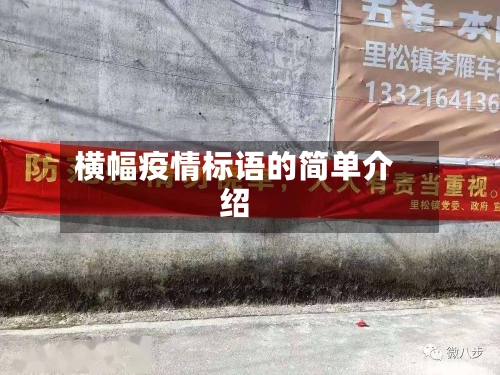 横幅疫情标语的简单介绍