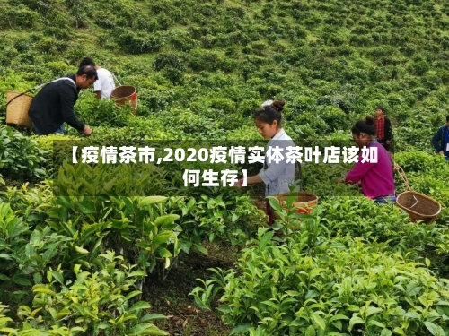 【疫情茶市,2020疫情实体茶叶店该如何生存】