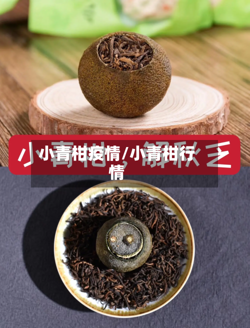 小青柑疫情/小青柑行情