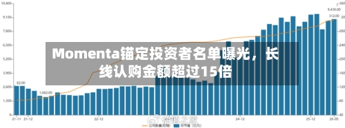 Momenta锚定投资者名单曝光，长线认购金额超过15倍-第3张图片