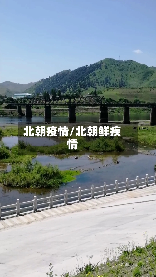 北朝疫情/北朝鲜疾情-第3张图片