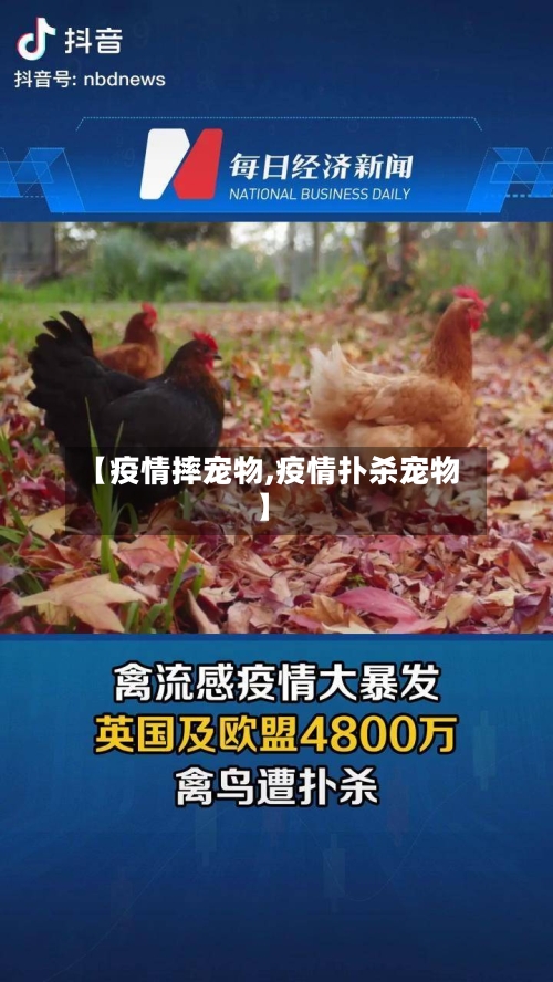 【疫情摔宠物,疫情扑杀宠物】-第3张图片