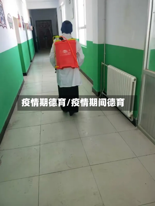 疫情期德育/疫情期间德育
