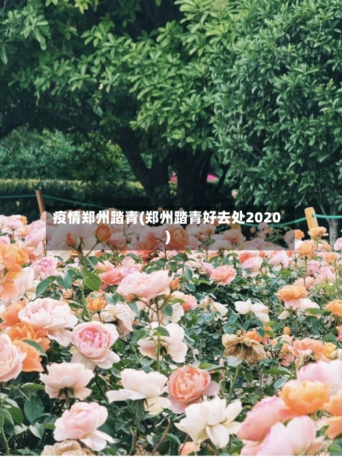 疫情郑州踏青(郑州踏青好去处2020)