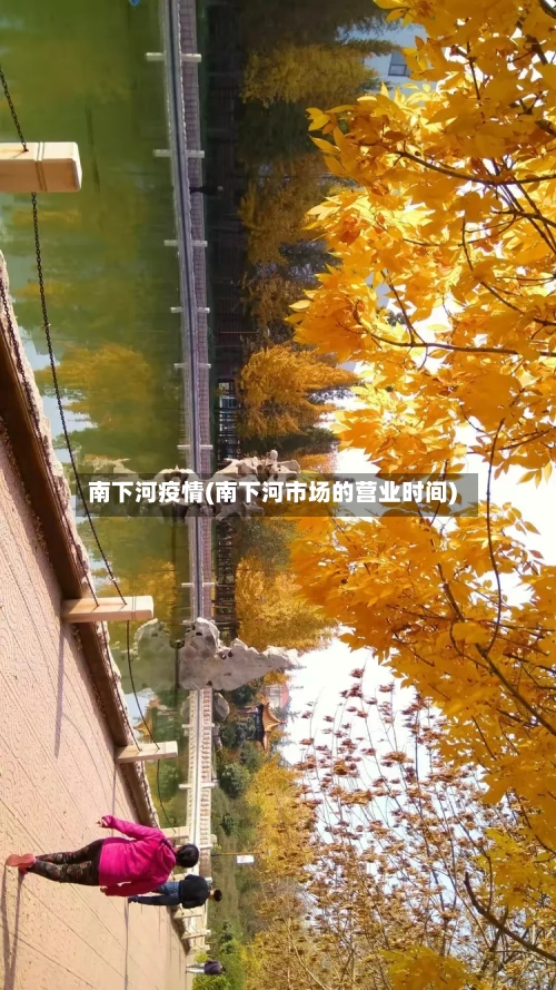 南下河疫情(南下河市场的营业时间)-第2张图片