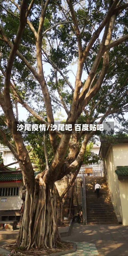 沙尾疫情/沙尾吧 百度贴吧-第2张图片