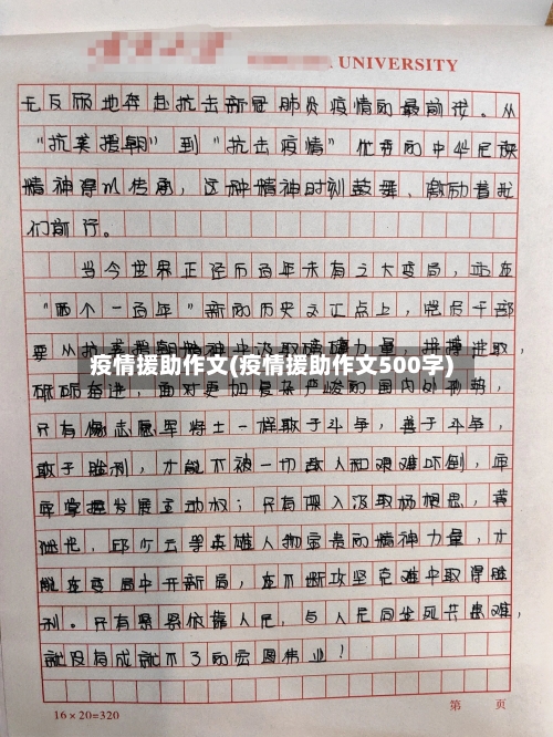 疫情援助作文(疫情援助作文500字)-第2张图片