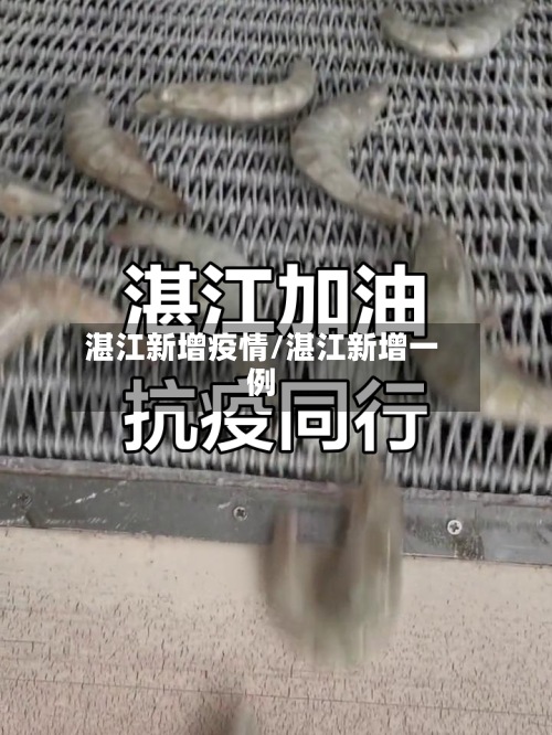 湛江新增疫情/湛江新增一例-第2张图片