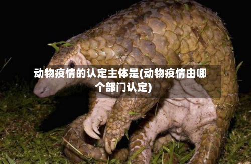 动物疫情的认定主体是(动物疫情由哪个部门认定)-第2张图片