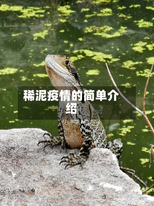 稀泥疫情的简单介绍-第3张图片