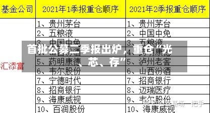 首批公募二季报出炉，重仓“光、芯、存	”-第2张图片