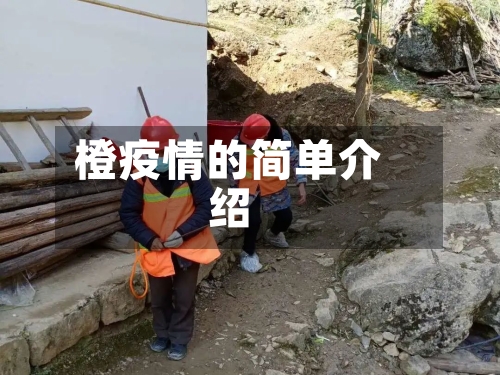 橙疫情的简单介绍-第2张图片
