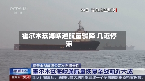 霍尔木兹海峡通航量骤降 几近停滞