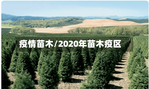 疫情苗木/2020年苗木疫区-第2张图片