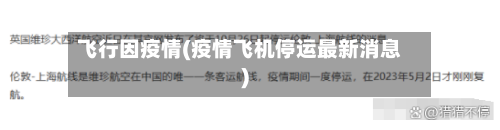飞行因疫情(疫情飞机停运最新消息)