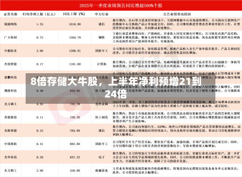 8倍存储大牛股，上半年净利预增21到24倍-第3张图片