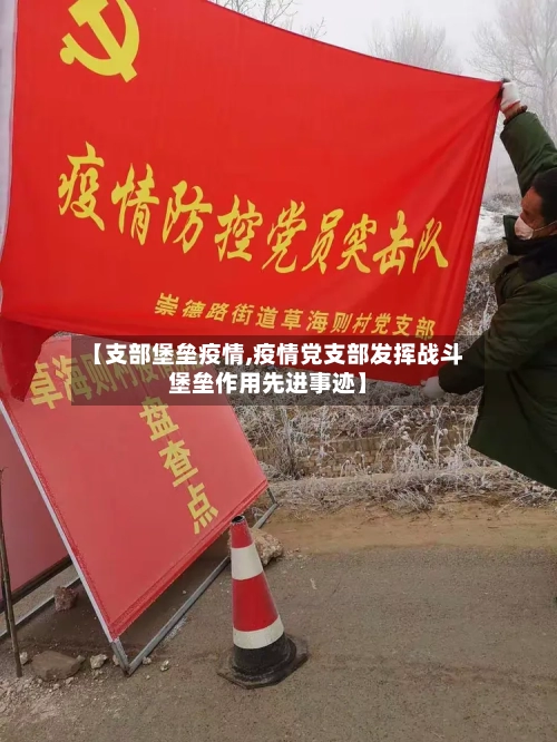 【支部堡垒疫情,疫情党支部发挥战斗堡垒作用先进事迹】