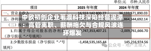 中欧初创企业苇渡科技深陷经营泥潭：高管离职	、薪酬拖欠与合规风波连环爆发-第3张图片