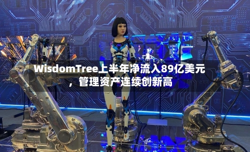 WisdomTree上半年净流入89亿美元	，管理资产连续创新高-第2张图片