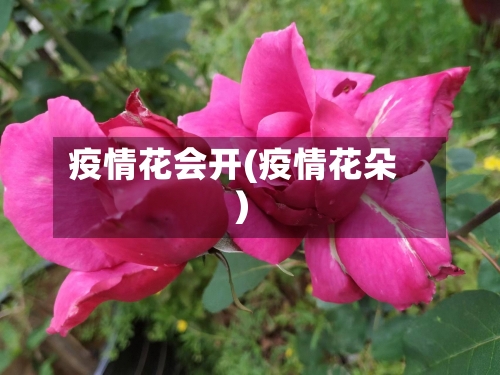 疫情花会开(疫情花朵)-第2张图片