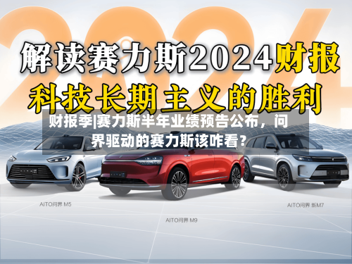 财报季|赛力斯半年业绩预告公布	，问界驱动的赛力斯该咋看？-第3张图片