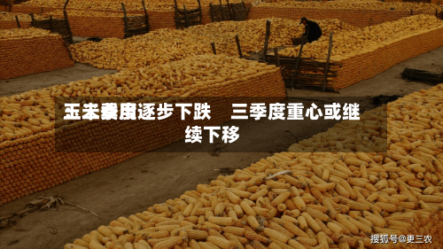 玉米费用：二季度逐步下跌　三季度重心或继续下移