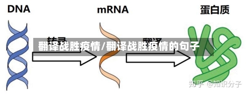 翻译战胜疫情/翻译战胜疫情的句子-第2张图片