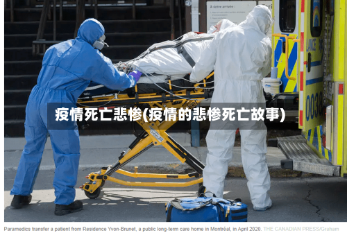 疫情死亡悲惨(疫情的悲惨死亡故事)