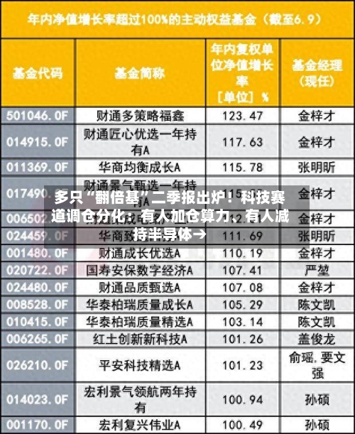 多只“翻倍基	”二季报出炉！科技赛道调仓分化：有人加仓算力	、有人减持半导体→-第2张图片