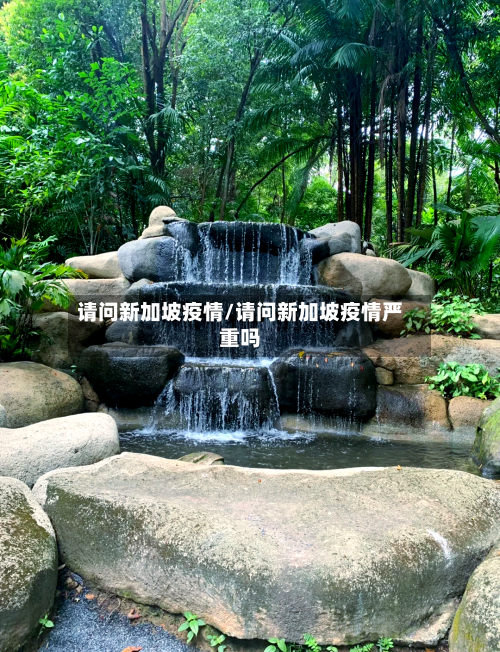 请问新加坡疫情/请问新加坡疫情严重吗-第2张图片