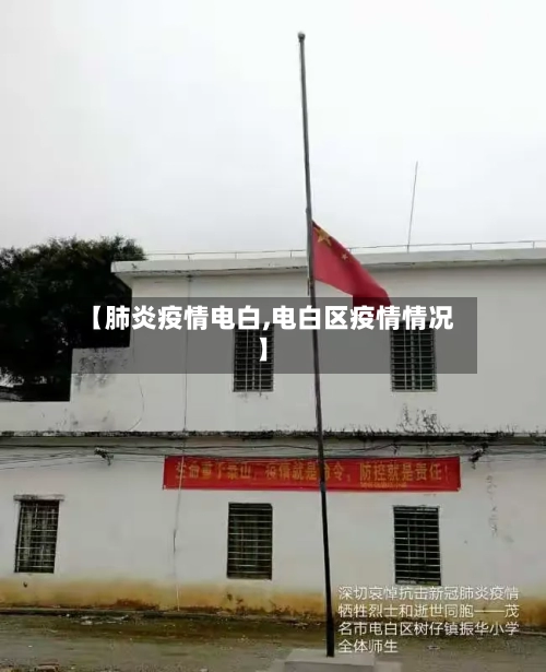 【肺炎疫情电白,电白区疫情情况】