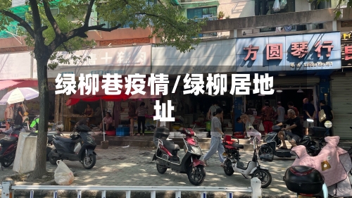 绿柳巷疫情/绿柳居地址-第3张图片