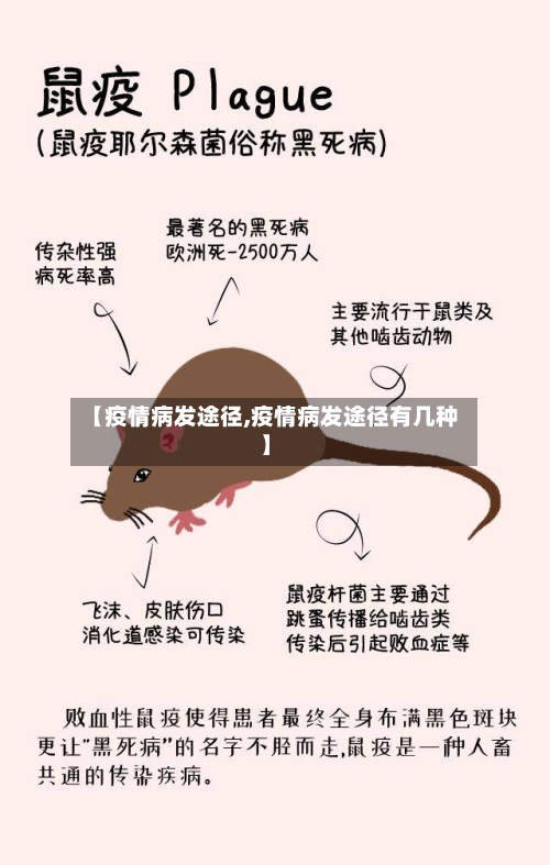 【疫情病发途径,疫情病发途径有几种】-第2张图片