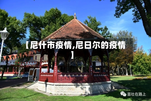 【尼什市疫情,尼日尔的疫情】