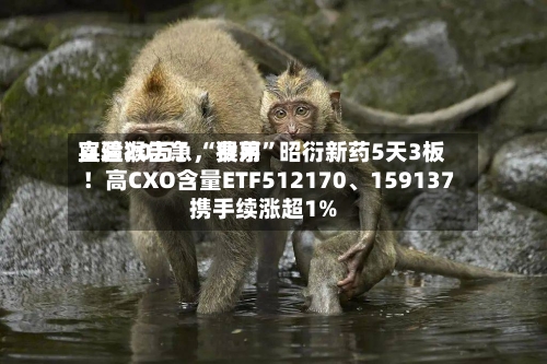 实验猴告急，费用直逼20万！“猴茅	”昭衍新药5天3板！高CXO含量ETF512170、159137携手续涨超1%-第3张图片