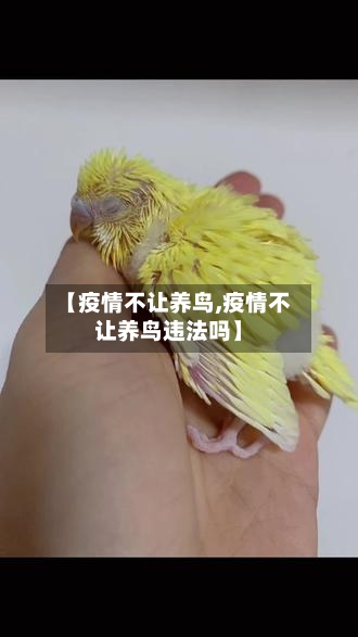 【疫情不让养鸟,疫情不让养鸟违法吗】