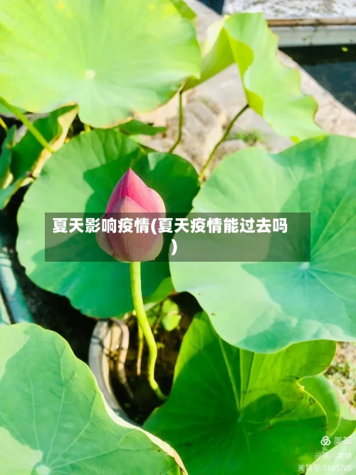 夏天影响疫情(夏天疫情能过去吗)-第2张图片