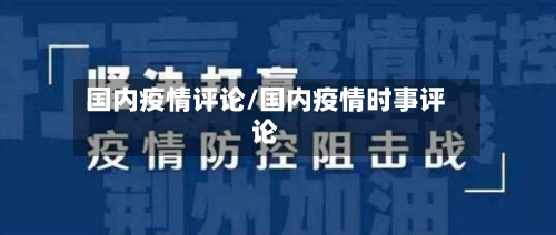国内疫情评论/国内疫情时事评论