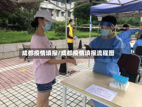 成都疫情填报/成都疫情填报流程图-第2张图片
