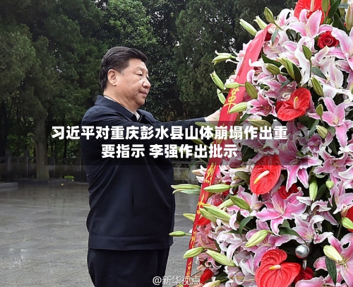 习近平对重庆彭水县山体崩塌作出重要指示 李强作出批示-第2张图片