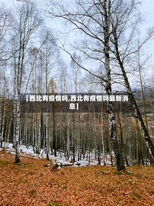 【西北有疫情吗,西北有疫情吗最新消息】-第3张图片