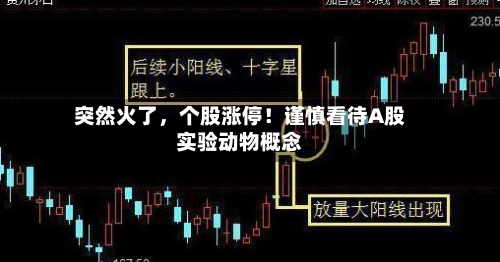 突然火了，个股涨停！谨慎看待A股实验动物概念-第2张图片