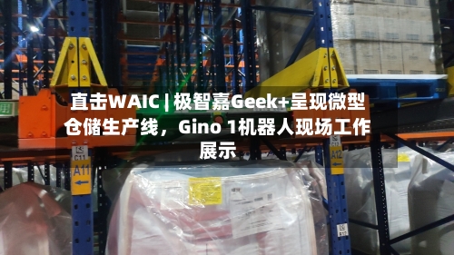 直击WAIC | 极智嘉Geek+呈现微型仓储生产线	，Gino 1机器人现场工作展示-第3张图片