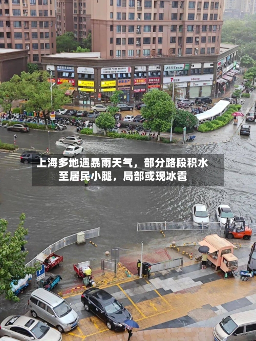 上海多地遇暴雨天气	，部分路段积水至居民小腿，局部或现冰雹-第3张图片