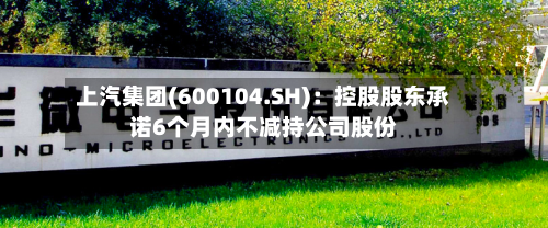 上汽集团(600104.SH)：控股股东承诺6个月内不减持公司股份-第3张图片
