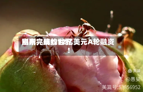刚刚，蚂蚁世界宣布完成约12亿美元A轮融资！-第2张图片
