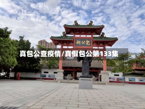 真包公查疫情/真假包公第133集