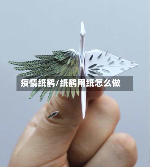 疫情纸鹤/纸鹤用纸怎么做